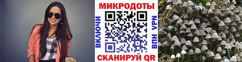 Псилоцибиновые грибы Magic Shrooms  купить наркотики цена  Комсомольск-на-Амуре 